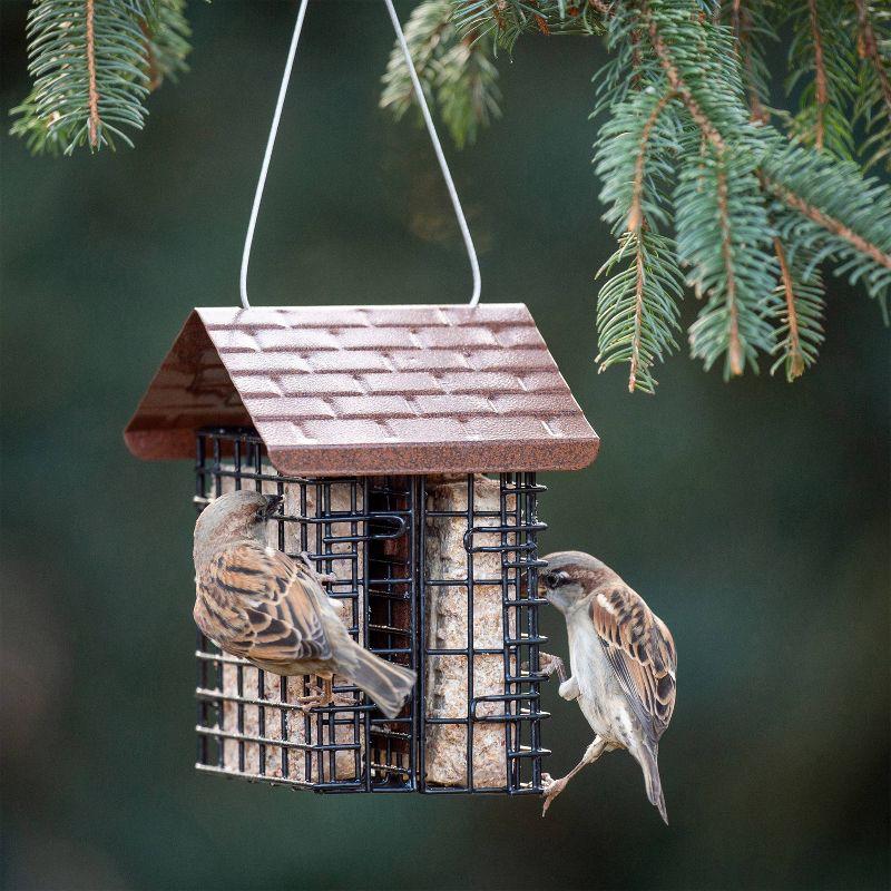 Brown Metal Double Suet Cage Bird Feeder with Roof