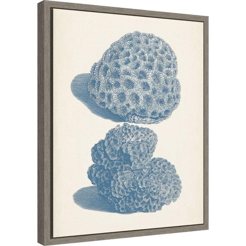 Amanti Art Antique Coral Collection VIII by Vision Studio Canvas Wall Art Print Framed 16 x 20-in.