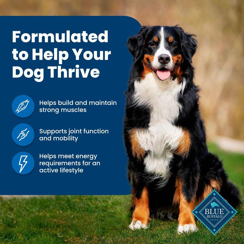 Blue Buffalo Life Protection Formula Natural Adult Dry Dog Food with Chicken and Brown Rice - 30lbs