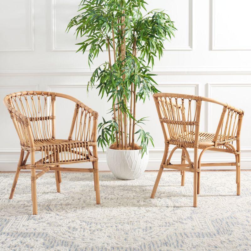 Adriana Rattan Accent Chair - Set of 2 - ACH6505 - Honey Brown Wash - Safavieh