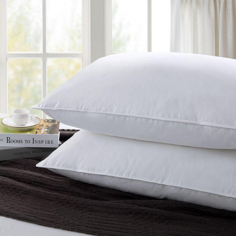 Peace Nest Gusseted Goose Down Feather Pillows Set of 2