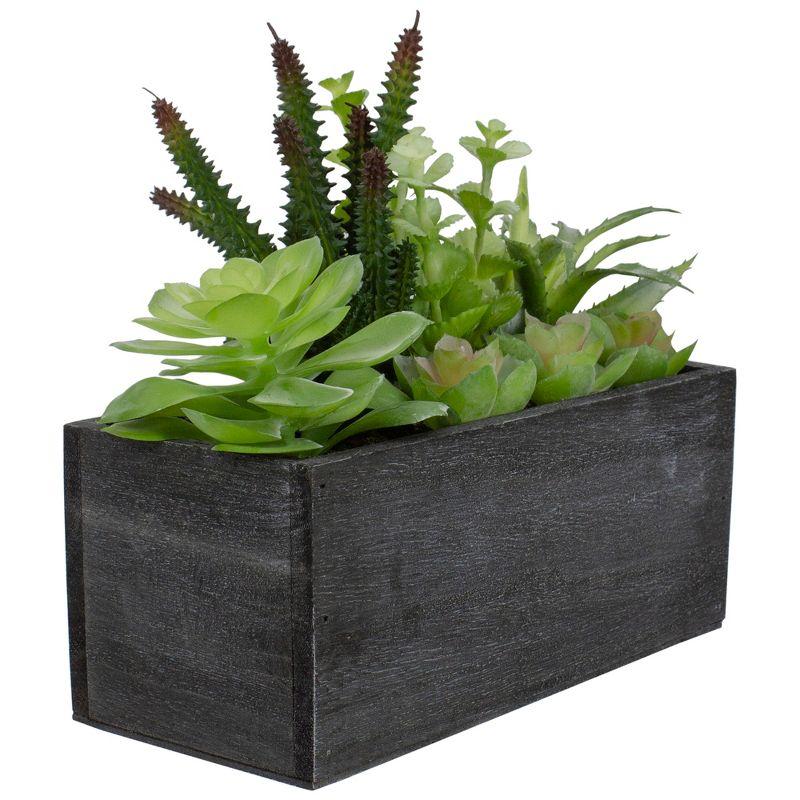 Northlight 10" Artificial Mixed Succulent Plants in a Rectangular Planter