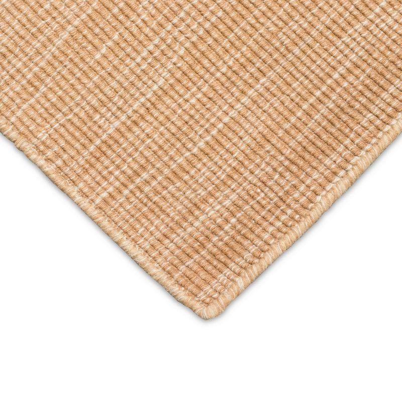 Aruba Ombre Flat Woven Sisal and Wool Area Rug