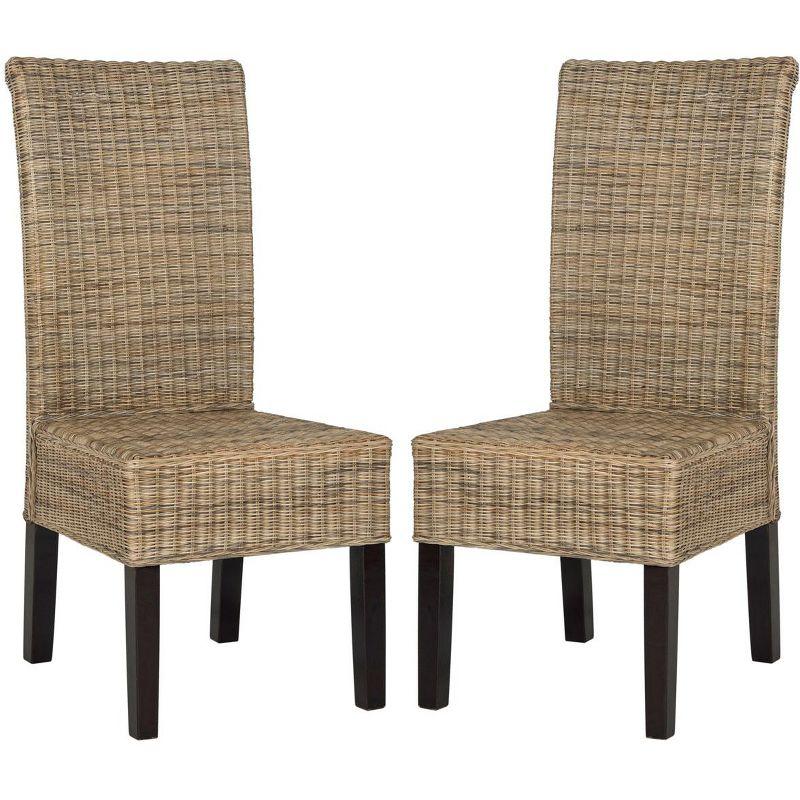 Arjun 18H Wicker Dining Chair (Set Of 2) - Grey - Safavieh
