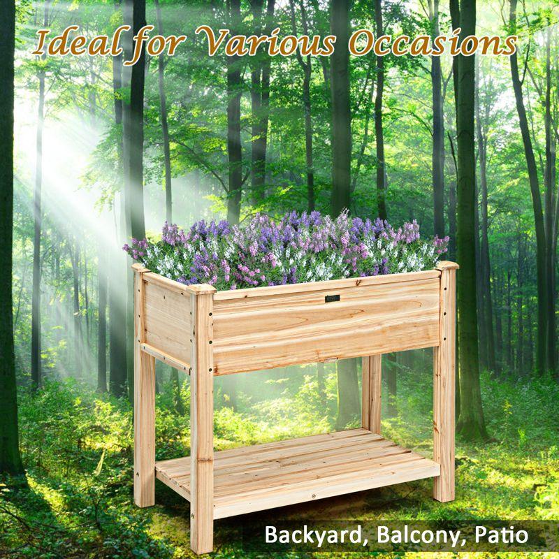 Natural Fir Wood Raised Garden Bed with Bottom Shelf