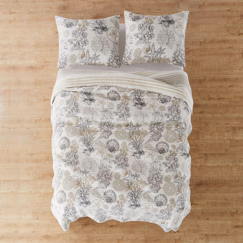Caspian Sea Full/Queen Quilt Set - One Full/Queen Quilt and Two Standard Shams - Levtex Home