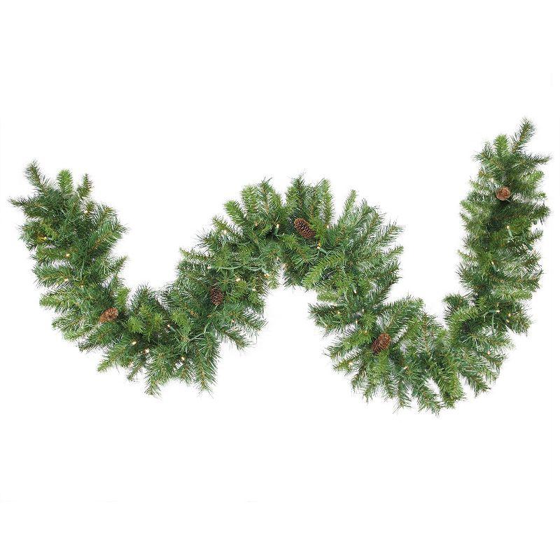 50' x 12" Pre-Lit Black River Pine Artificial Christmas Garland Warm White LED Lights