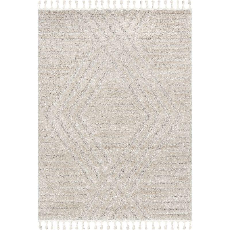 Beige Geometric Shag Tassel 4' x 6' Area Rug