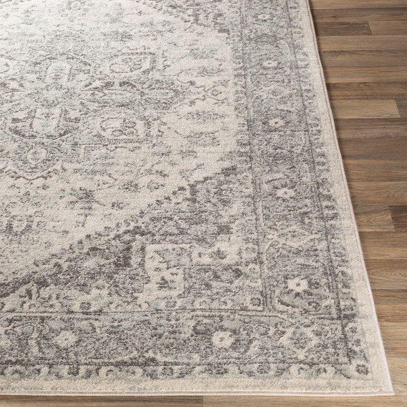 Mark & Day Chartres Woven Indoor Area Rugs Light Gray Gray