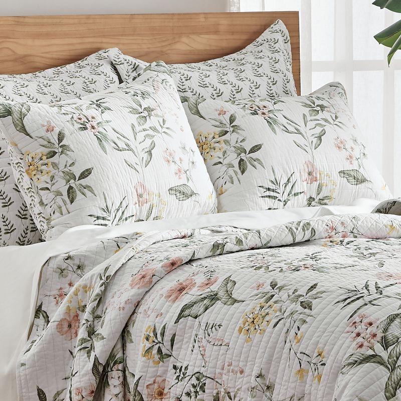 Viviana Quilt and Pillow Sham Set - Levtex Home