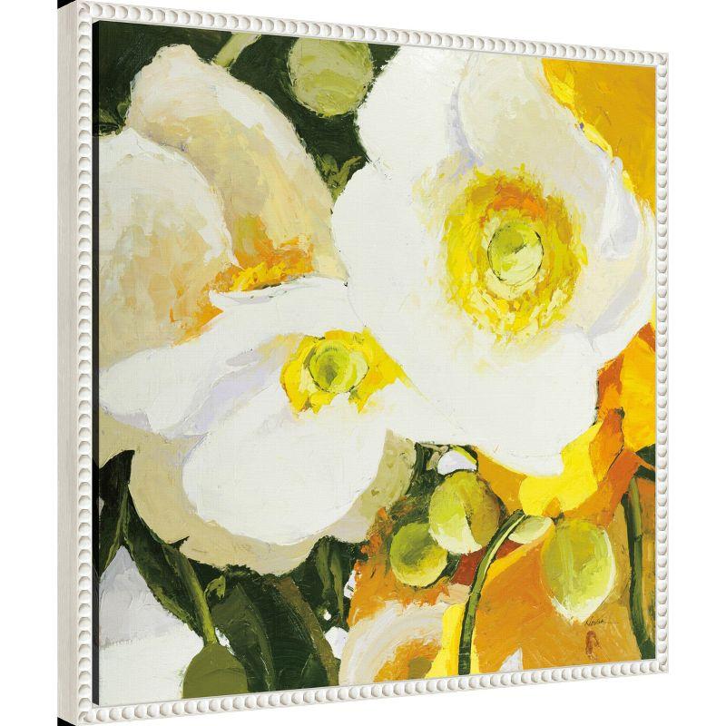 Amanti Art White Anemones Up Close by Shirley Novak Framed Canvas Wall Art