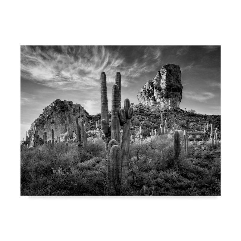 Trademark Fine Art -David Drost 'Black And White Desert View I' Canvas Art