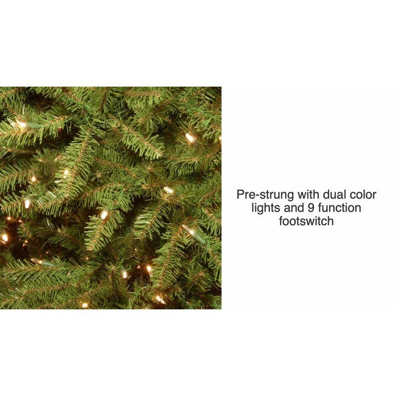 The Holiday Aisle® 9ft. Dunhill Fir Tree with Dual Color LED Lights