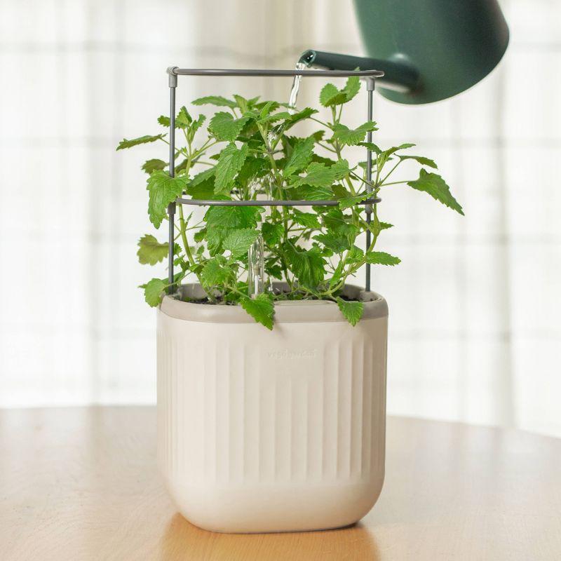 Mini Plastic Outdoor Pot Planter with Trellis