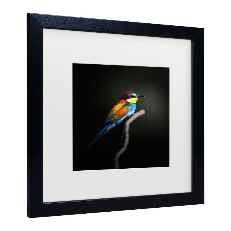 Trademark Fine Art - Fegari  Colorful Darkly Matted Framed Art