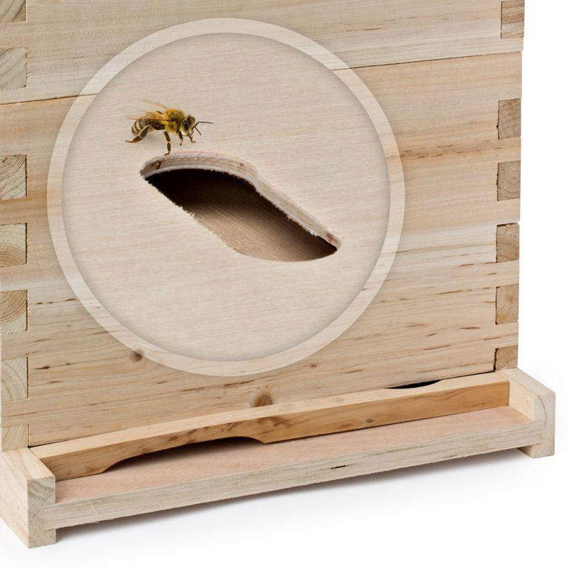 Honey Keeper 20 Frame Beekeeping Box Kit