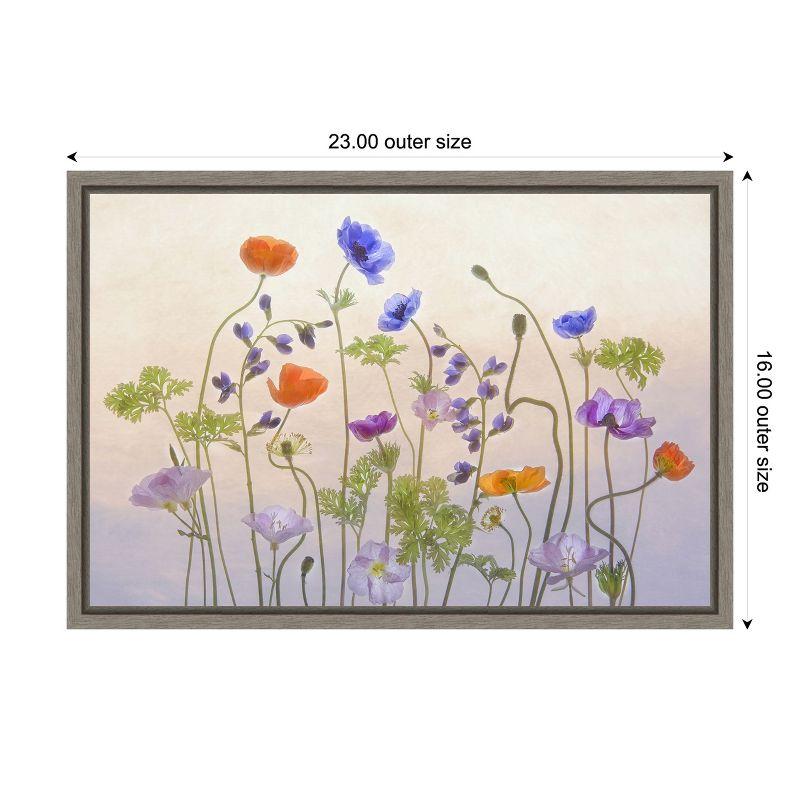 Amanti Art Poppy & Anemone (Flowers) by Catherine W. Canvas Wall Art Print Framed 23 x 16-in.