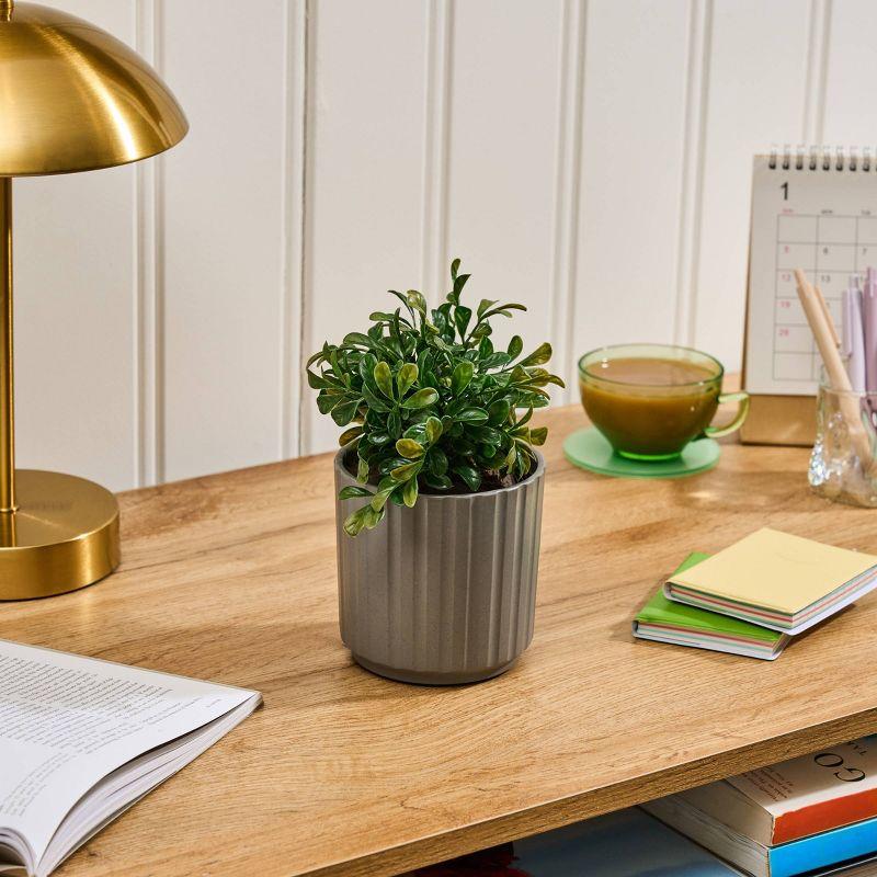 Lifelines Boxwood Faux Plant Diffuser in Ribbed Gray Planter