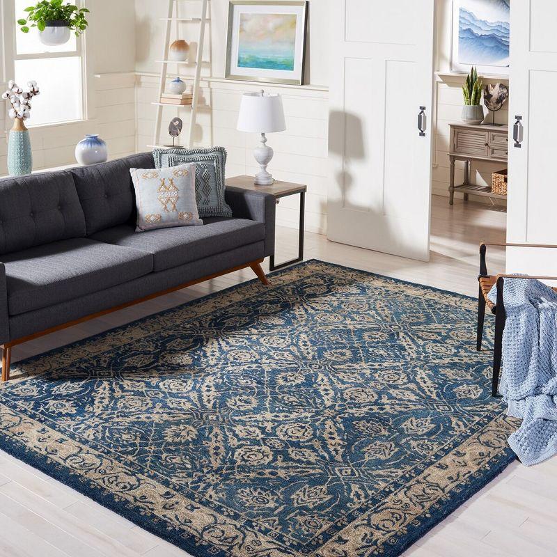 Anatolia AN583 Hand Tufted Indoor Area Rug - Navy/Ivory - 8'x10' - Safavieh