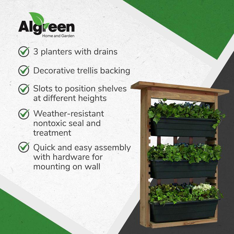 Algreen Gardenview Decorative Indoor or Outdoor Trellis with 3 Vertical Wall Hanging Planters with Drain Plugs for Flowers, Herbs, and Succulents