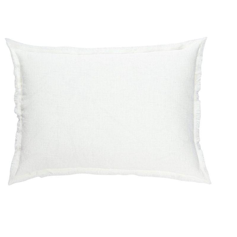 Anaya Fringed Throw Pillow
