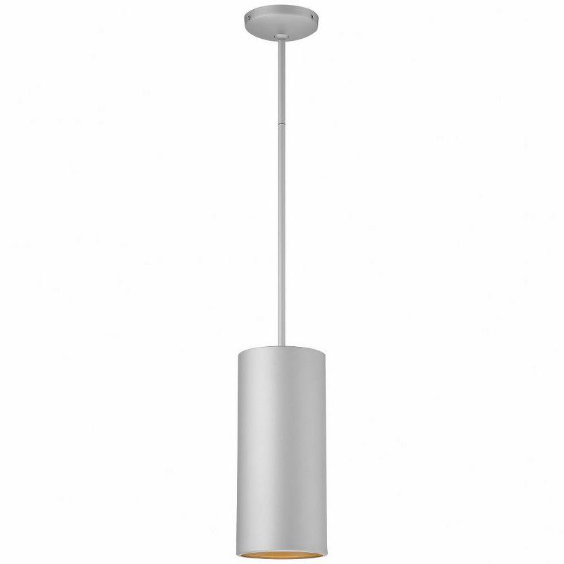 Satin Modern 24" Indoor/Outdoor Drum Pendant Light