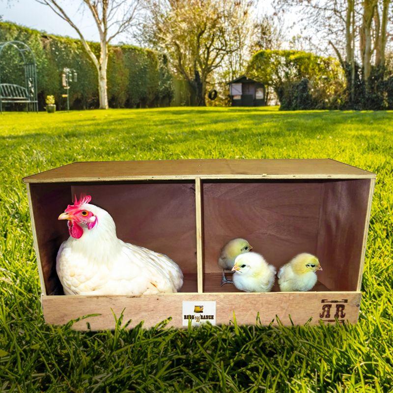 Rugged Range Products Duplex 24 x 12 x 12 Inch Flat Wooden Dual Compartment Chicken Coop Interior Poultry Bird Egg Animal Nesting Box for 2 to 4 Hens