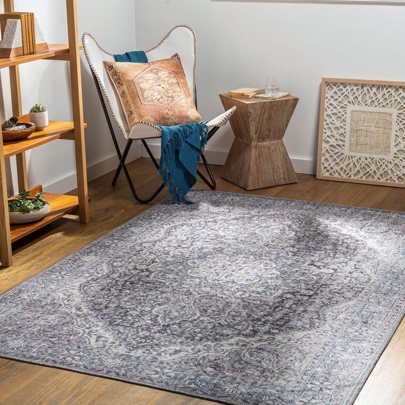Livabliss 2'7"x10' Colin Traditional Machine Washable Rug Light Blue: Flat Pile, Pet Friendly, Indoor Use