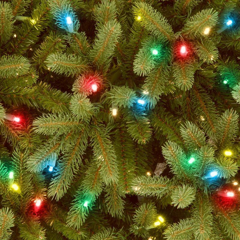 6.5' Prelit Jersey Fraser Fir Artificial Christmas Tree Clear Lights - National Tree Company