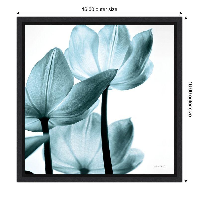 Amanti Art Translucent Tulips III Sq Aqua Crop by Debra Van Swearingen Framed Canvas Wall Art