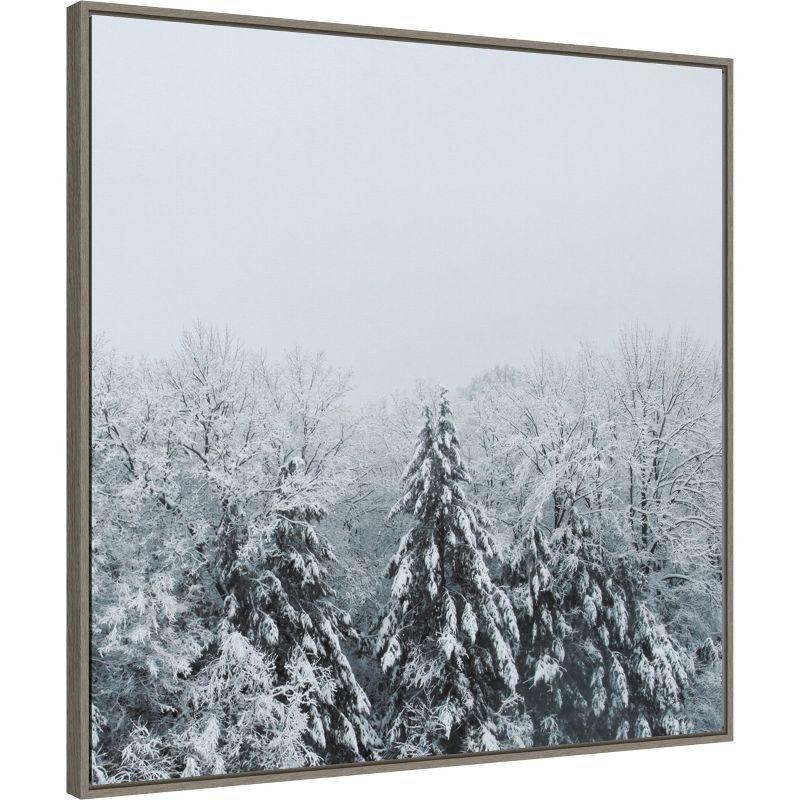 Amanti Art Snowshoe Hill Deep Crop by Sue Schlabach Framed Canvas Wall Art