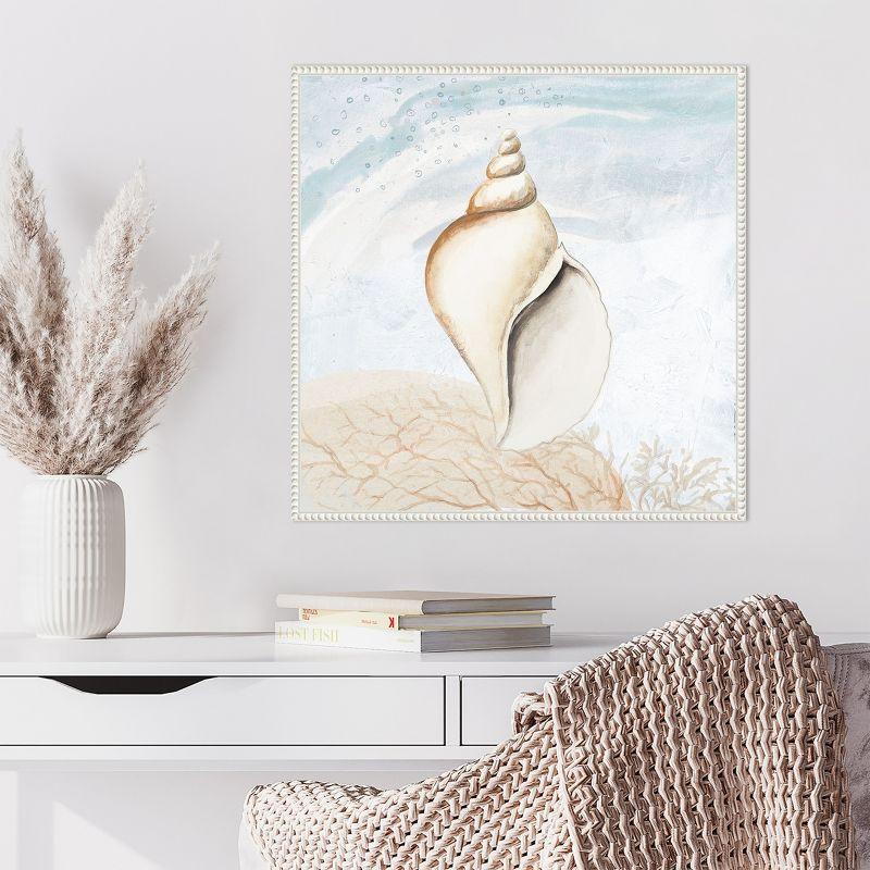 Amanti Art Ocean Oasis Tropical Seashell I by Patricia Pinto Framed Canvas Wall Art