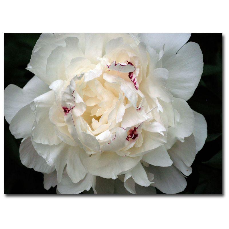 Framed Peony Landscape Canvas Art in White and Pink