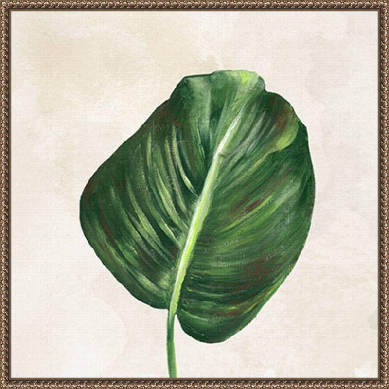 Amanti Art Tropical Leaves I by Lee C Framed Wall Art Print