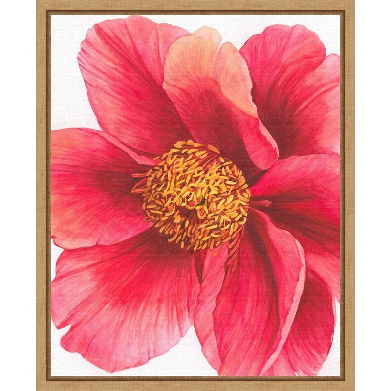 Amanti Art Tree Peony II by Grace Popp Framed Canvas Wall Art Print