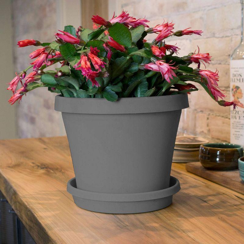 Bloem Terra Pot Planter