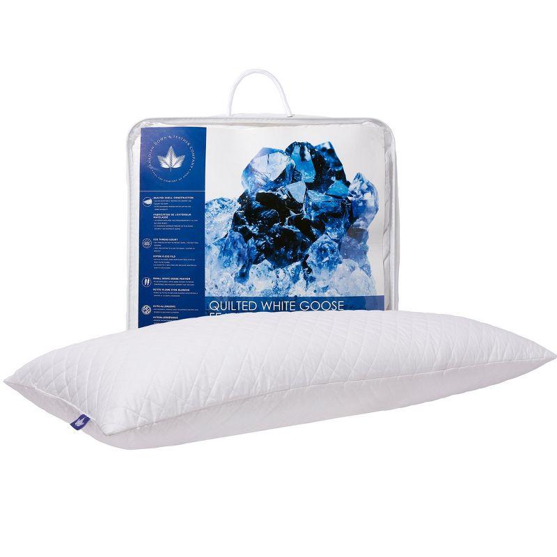 Canadian Down & Feather Company Quilted White Goose Feather Body Pillow