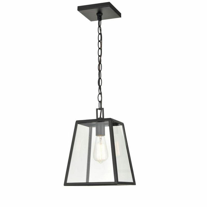 Powder Coat Black Glass Outdoor Pendant Light