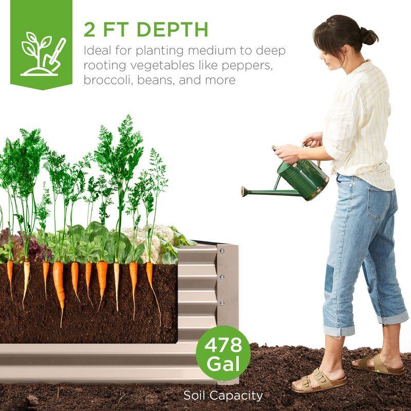 Arlmont & Co. Rosonda 8x4x2ft Outdoor Metal Raised Garden Bed, Planter Box for Vegetables, Flowers, Herbs