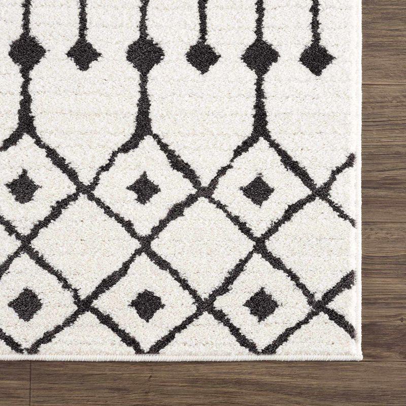 Hauteloom Runner Area Rug   Black