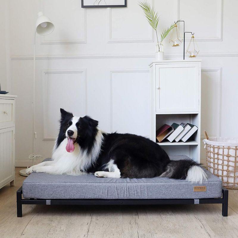 KOPEKS Elevated Foam Dog Bed - XL - Grey