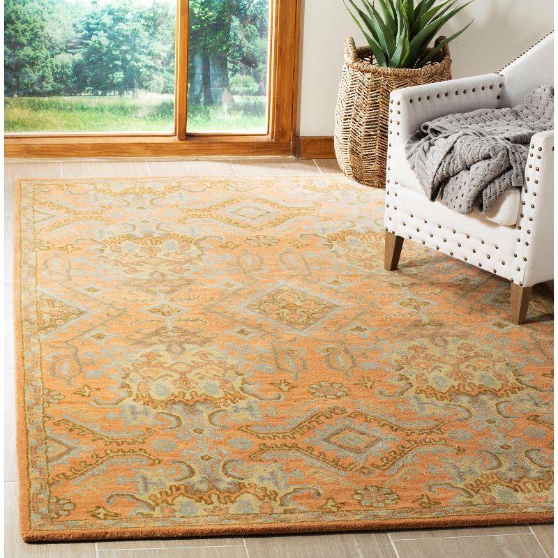 Wyndham WYD203 Hand Tufted Area Rug  - Safavieh