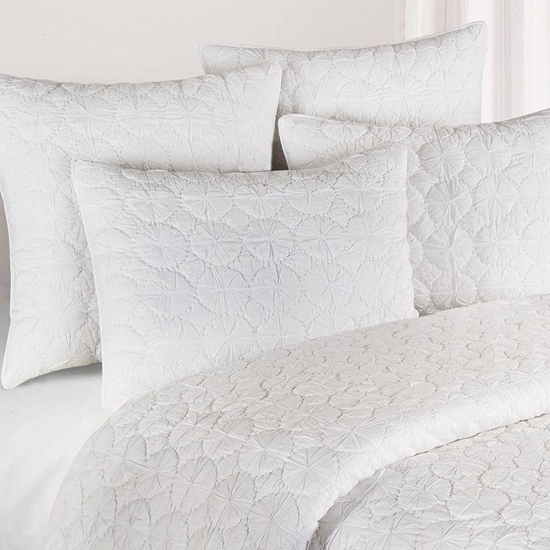 C&F Home Melody Bedding Collection Mara Cotton Standard Sham