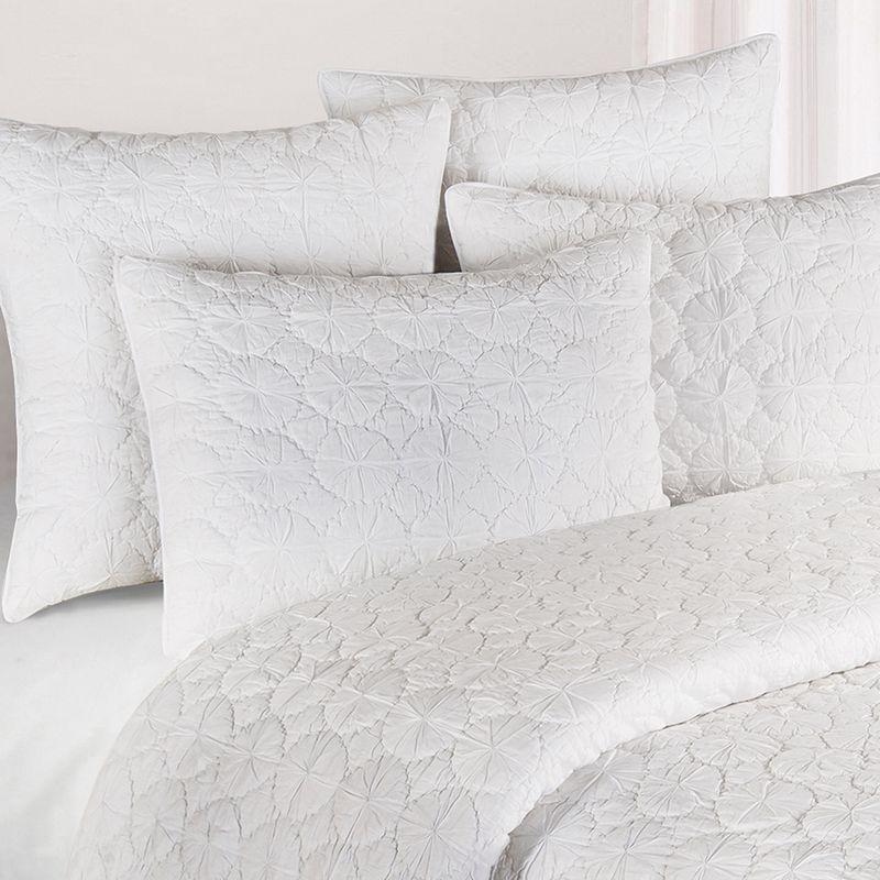 Melody Bedding Collection Cotton Pillow Sham