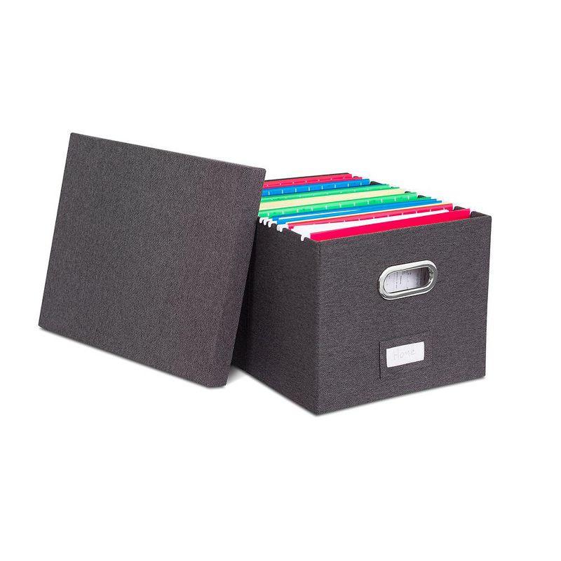 BirdRock Home Internet's Best Collapsible File Storage Fabric Box