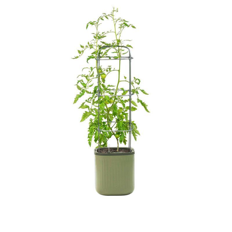 Vego Garden Self-Watering Rolling Tomato Rectangular Indoor Outdoor Planter Pot with Trellis 15"x15"x55"