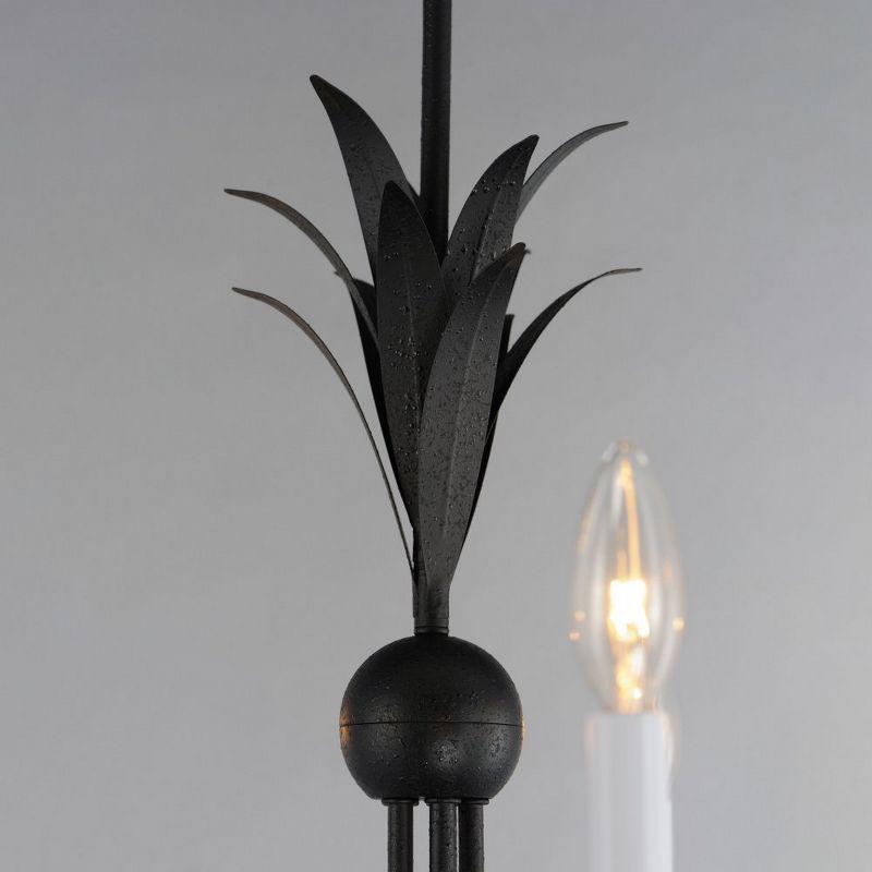 Maxim Lighting Paloma 5 - Light Chandelier in  Anthracite