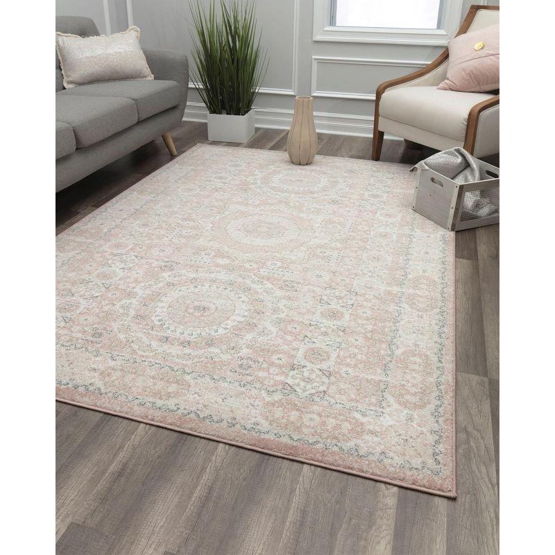 Rugs America Harper Pink Transitional Vintage Area Rug