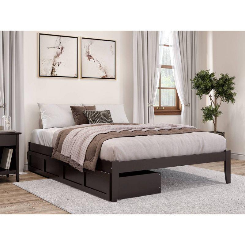 Espresso Colorado Queen Bed with Dual Storage Drawers