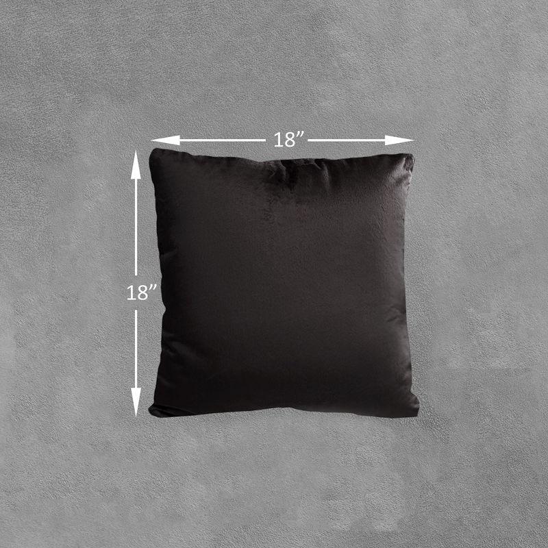 Beauty Acrylic Kody Throw Pillow (Set of 2)